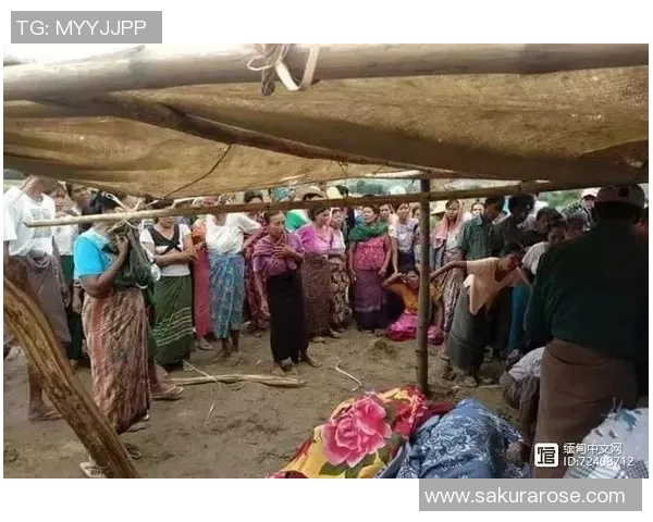 崇明足球场意外事故引发的死亡悲剧及其背后的深层次问题探讨